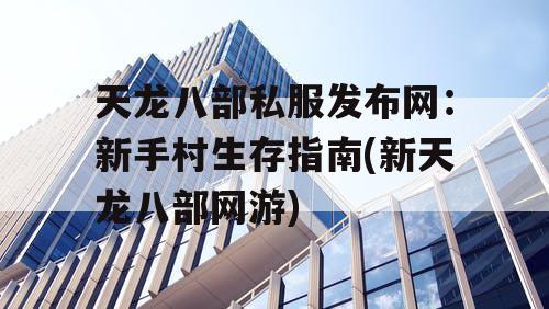天龙八部私服发布网：新手村生存指南(新天龙八部网游)
