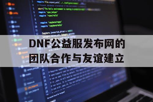 DNF公益服发布网的团队合作与友谊建立