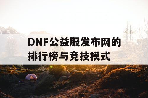 DNF公益服发布网的排行榜与竞技模式