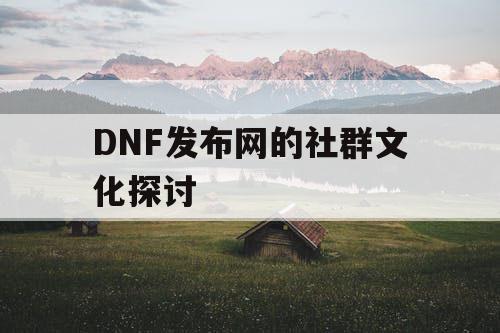 DNF发布网的社群文化探讨
