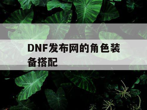 DNF发布网的角色装备搭配