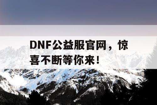 DNF公益服官网,惊喜不断等你来! DNF公益服官网,惊喜不断等你来!