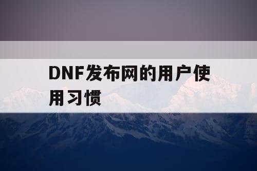 DNF发布网的用户使用习惯