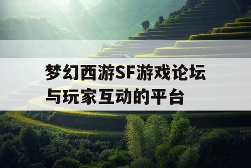梦幻西游SF游戏论坛与玩家互动的平台