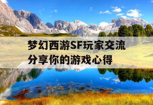 梦幻西游SF玩家交流分享你的游戏心得