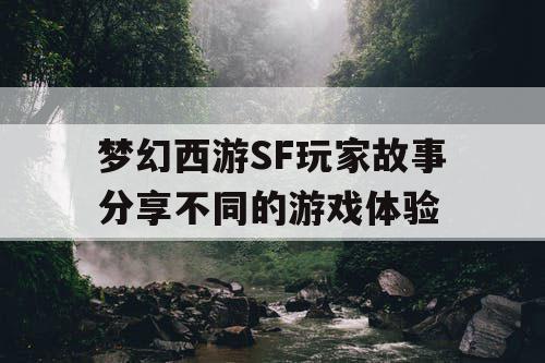 梦幻西游SF玩家故事分享不同的游戏体验