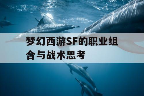 梦幻西游SF的职业组合与战术思考