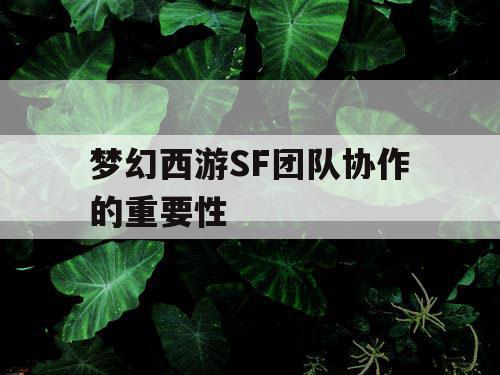 梦幻西游SF团队协作的重要性