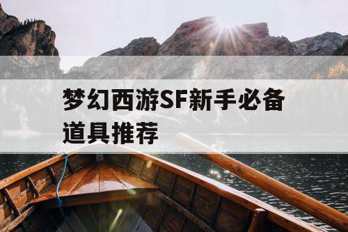 梦幻西游SF新手必备道具推荐