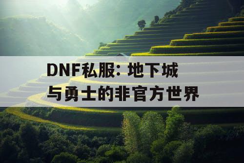 DNF私服: 地下城与勇士的非官方世界 DNF私服: 地下城与勇士的非官方世界