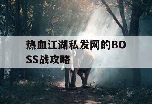 热血江湖私发网的BOSS战攻略