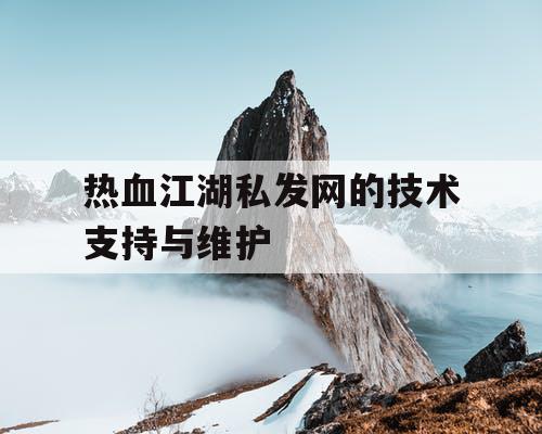 热血江湖私发网的技术支持与维护