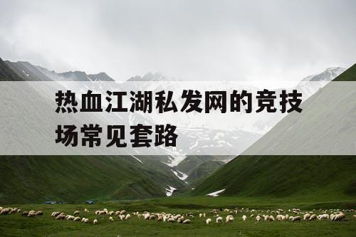 热血江湖私发网的竞技场常见套路