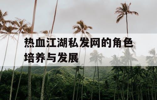 热血江湖私发网的角色培养与发展