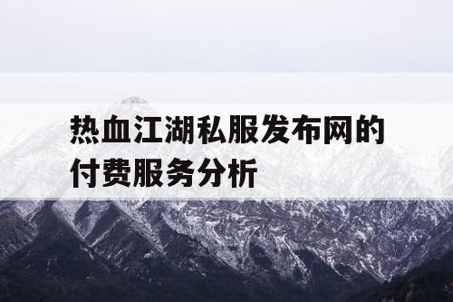 热血江湖私服发布网的付费服务分析