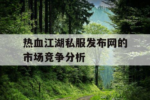 热血江湖私服发布网的市场竞争分析