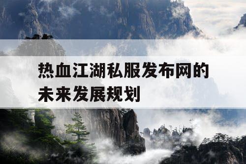 热血江湖私服发布网的未来发展规划