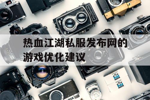 热血江湖私服发布网的游戏优化建议