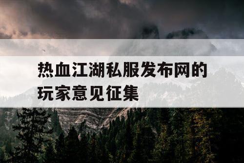 热血江湖私服发布网的玩家意见征集