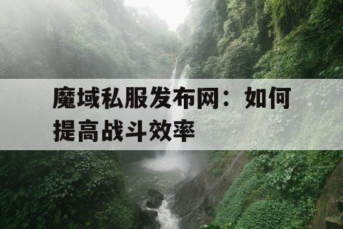 魔域私服发布网：如何提高战斗效率