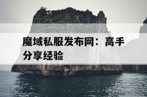 魔域私服发布网：高手分享经验