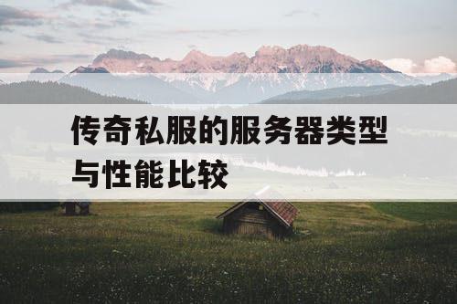 传奇私服的服务器类型与性能比较