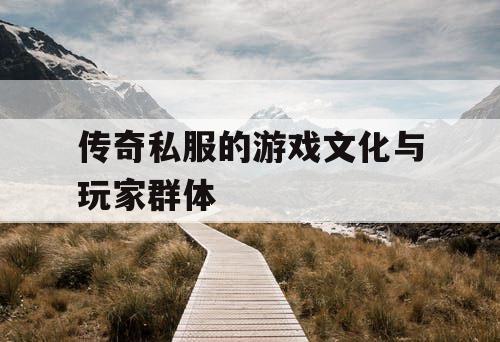 传奇私服的游戏文化与玩家群体
