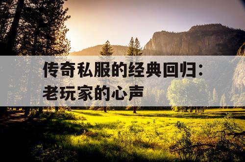 传奇私服的经典回归：老玩家的心声