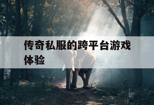 传奇私服的跨平台游戏体验