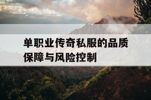 单职业传奇私服的品质保障与风险控制