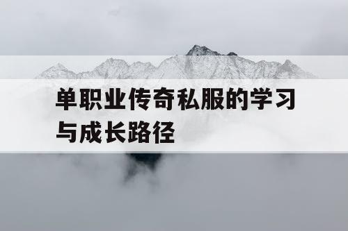 单职业传奇私服的学习与成长路径