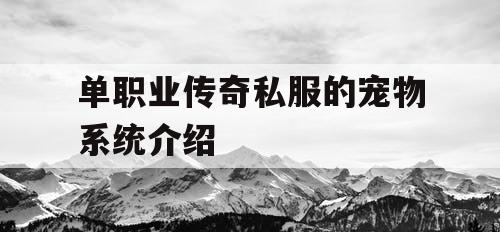 单职业传奇私服的宠物系统介绍