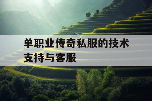 单职业传奇私服的技术支持与客服