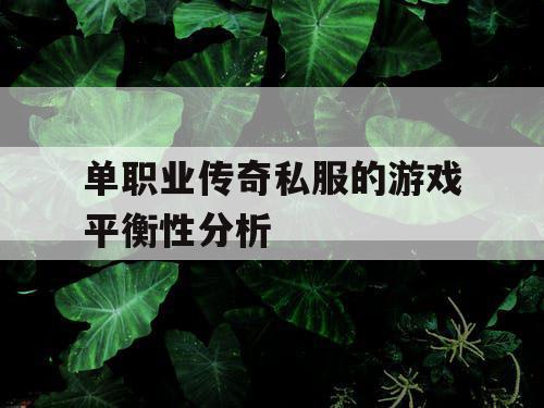 单职业传奇私服的游戏平衡性分析