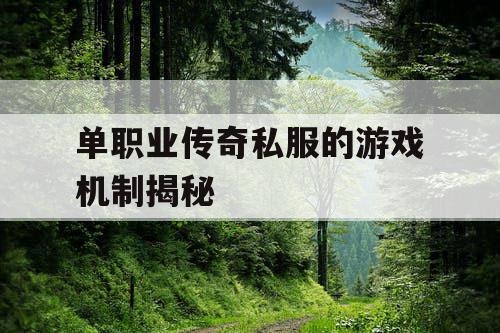 单职业传奇私服的游戏机制揭秘