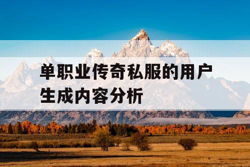 单职业传奇私服的用户生成内容分析
