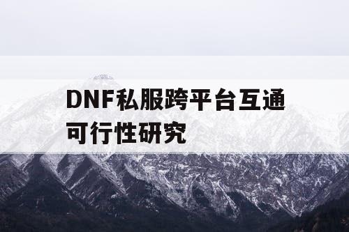 DNF私服跨平台互通可行性研究
