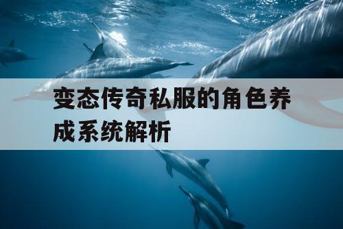 变态传奇私服的角色养成系统解析 变态传奇私服的角色养成系统解析