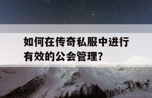 如何在传奇私服中进行有效的公会管理? 如何在传奇私服中进行有效的公会管理?