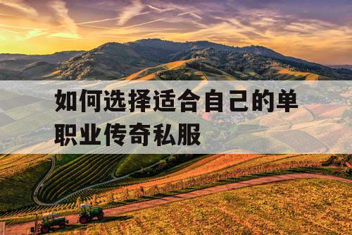 如何选择适合自己的单职业传奇私服