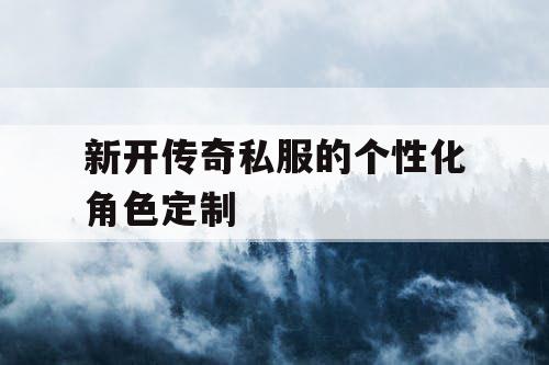 新开传奇私服的个性化角色定制