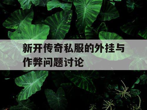 新开传奇私服的外挂与作弊问题讨论