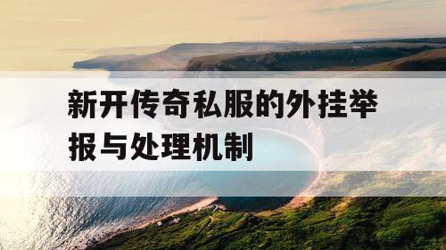 新开传奇私服的外挂举报与处理机制
