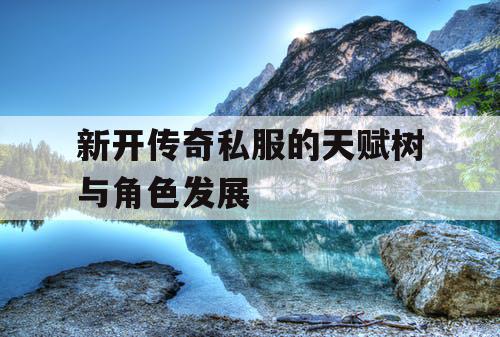 新开传奇私服的天赋树与角色发展