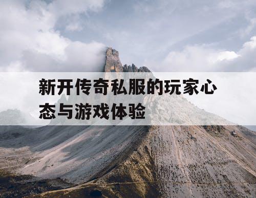 新开传奇私服的玩家心态与游戏体验