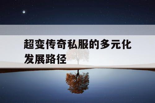 超变传奇私服的多元化发展路径