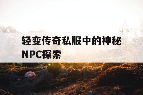 轻变传奇私服中的神秘NPC探索 轻变传奇私服中的神秘NPC探索