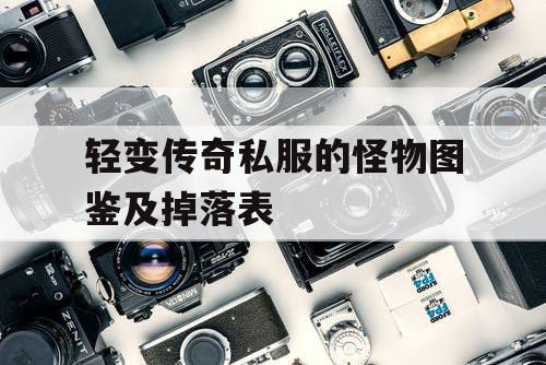 轻变传奇私服的怪物图鉴及掉落表