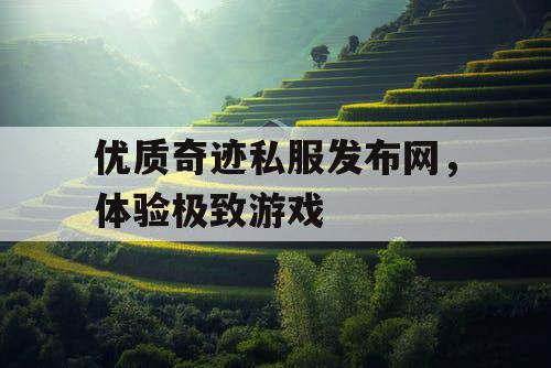 优质奇迹私服发布网，体验极致游戏