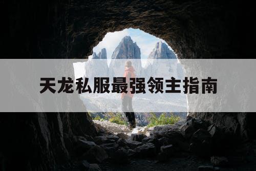 天龙私服最强领主指南